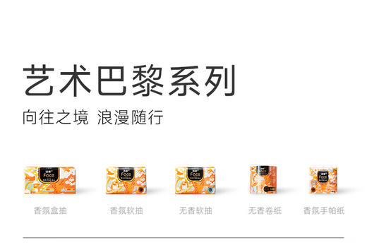BH210-08E洁柔牌纸面巾(艺术巴黎沙龙香氛盒抽)4层90抽(8盒装)BH210-08E 商品图3
