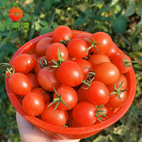 【减肥利器】千禧圣女果 （洗净装盒）