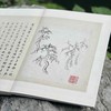 《董文敏画稿册》〔明〕董其昌 绘，〔清〕高士奇 跋，原大，册页装，带函套，浙江人民美术出版社2024年8月一版一印。定价488，售价328元。 商品缩略图4