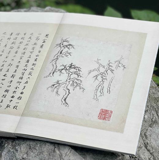 《董文敏画稿册》〔明〕董其昌 绘，〔清〕高士奇 跋，原大，册页装，带函套，浙江人民美术出版社2024年8月一版一印。定价488，售价328元。 商品图4