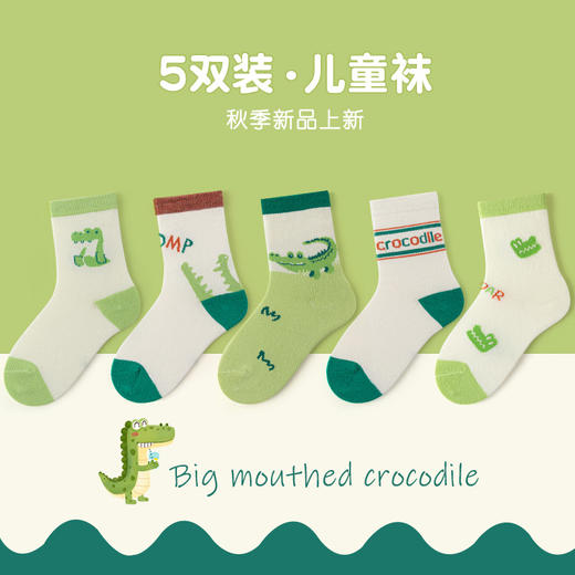 【5双装儿童袜子男童】春秋棉袜 男宝宝秋冬吸汗中筒袜 卡通舒适男女孩棉袜  商品图8
