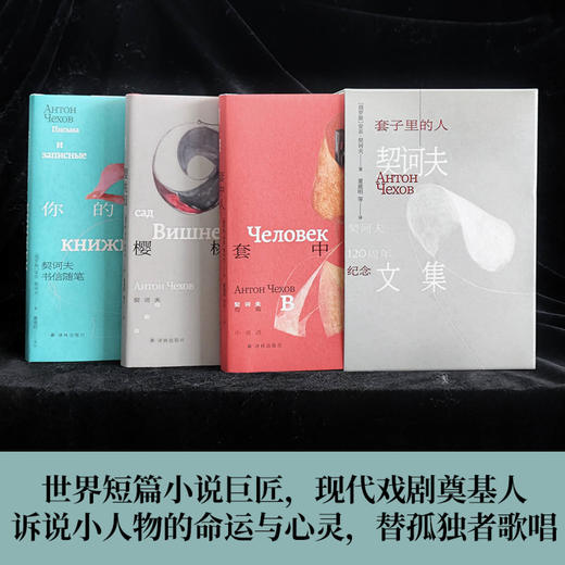 套子里的人：契诃夫文集 商品图1