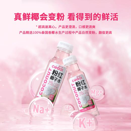 【酷可椰】100%NFC粉红椰子水300ml*15瓶 商品图3