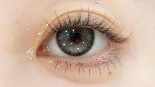 【大直径混血】D29·银光海星·Winni丨14.5mm（日抛/一大盒10片装） 商品图10