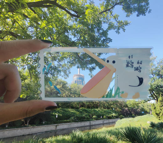 动物系列卡通透卡 商品图4