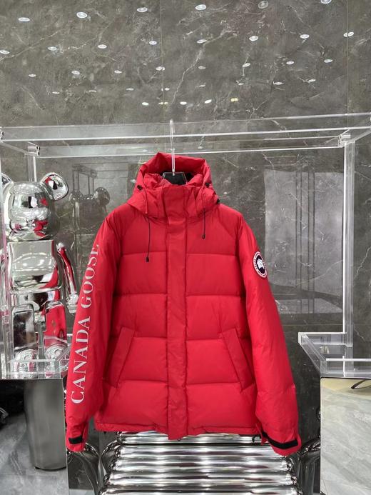 加拿大*鹅  APP羽绒服  9款可选    GS3612 商品图4