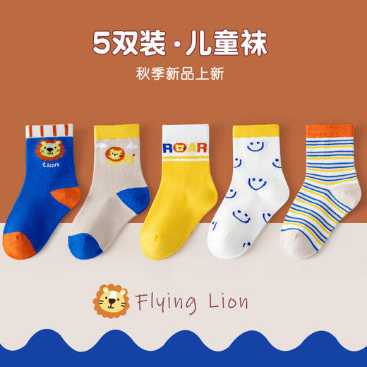 【5双装儿童袜子男童】春秋棉袜 男宝宝秋冬吸汗中筒袜 卡通舒适男女孩棉袜  商品图10