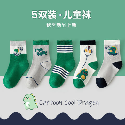 【5双装儿童袜子男童】春秋棉袜 男宝宝秋冬吸汗中筒袜 卡通舒适男女孩棉袜  商品图7