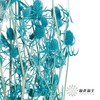 干花 | 情人果蒂芙尼蓝 商品缩略图0