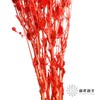 干花 | 情人果红色 商品缩略图1