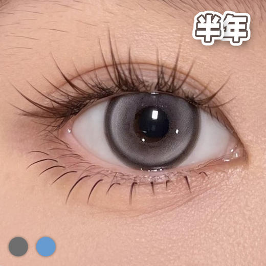 #Curly376 小象灰与海蓝色14.2mm【1片装】进口-舒适推荐 / 半年抛 商品图2