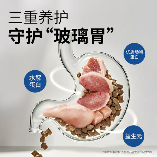 【试吃装】伯纳天纯低敏宠物狗粮成犬幼犬通用舒纯三文鱼配方犬粮泰迪博美250g 商品图2