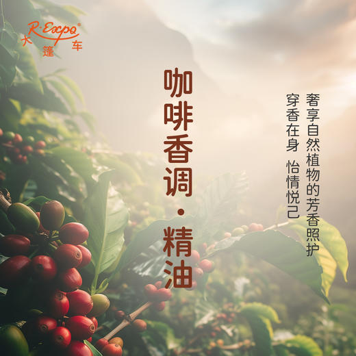 咖啡香调·精油 植物精油适用香水 护肤洗护产品 大篷车精油 商品图2