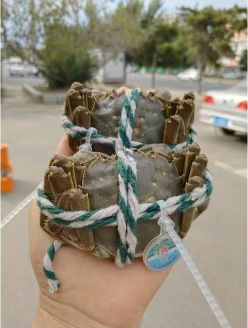 黄箱江苏大闸蟹礼盒 商品图4