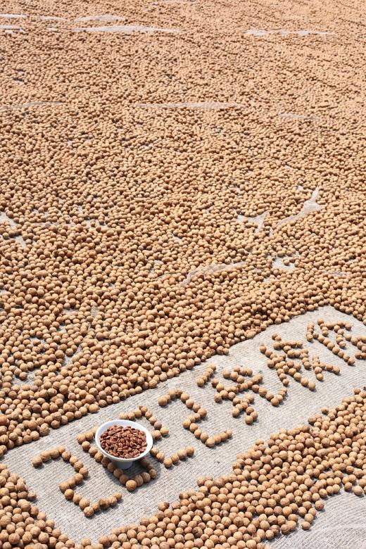 2025年新货临安山核桃仁【 粒粒完整核桃仁 口口香酥脆 孕妇坚果零食 一吃停不下来】      基地直邮 商品图1