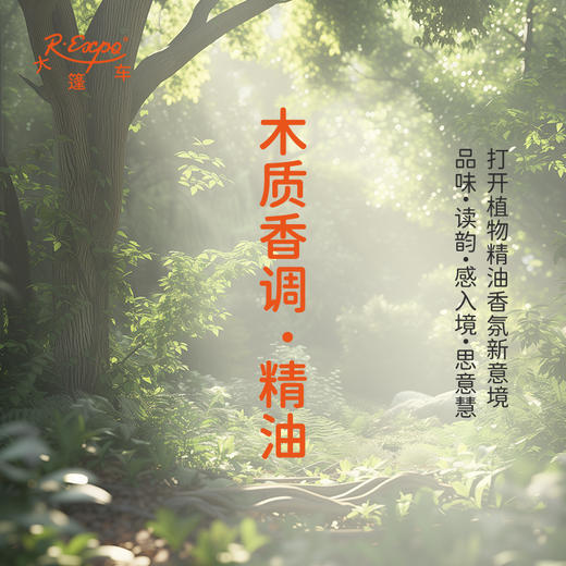 木质香调·精油 植物精油香氛 适用香水 护肤洗护产品 大篷车精油 商品图0