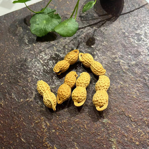 双籽花生（单个随机） 商品图3