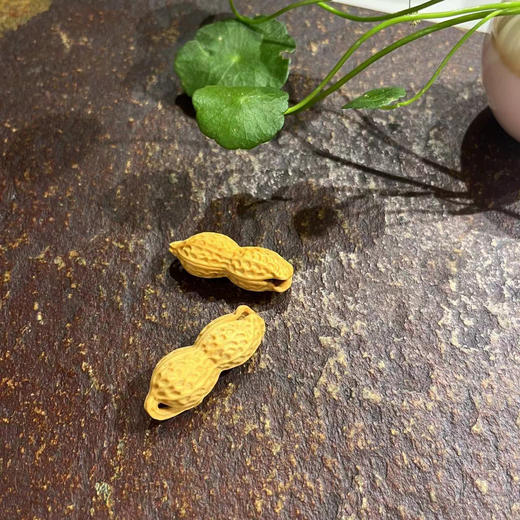 双籽花生（单个随机） 商品图1