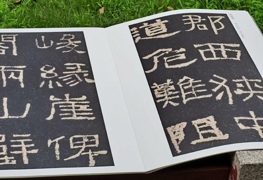 特惠！！《中国传世名帖精赏》，4开巨册，全10册，一箱装，颂雅风公司主编，河北教育出版社2012年一版一印，定价980，售价358元 商品图10