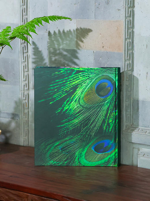 舞剧《孔雀》十周年珍藏纪念册 | 限量发售 艺术精装 | 有亲笔签名纪念卡 |现货加急发 商品图3