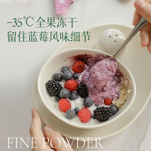 【均衡小站 纯蓝莓粉】冻干果蔬粉维C花青素冲泡饮品便携小包装 商品图4
