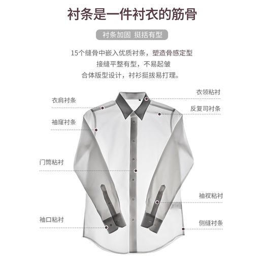 【至臻一号】300支纯棉DP抗皱顶级长袖衬衫247B0F633L 商品图2