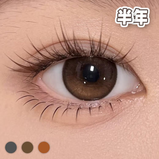 #Curly486 小熊饼干 棕/巧/黑 14.2mm【1片装】进口-舒适推荐 / 半年抛 商品图4