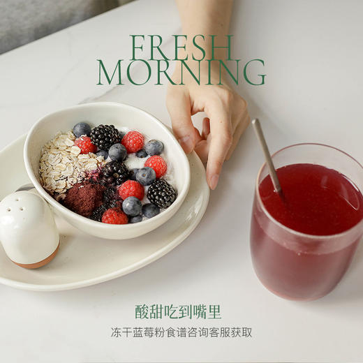 【均衡小站 纯蓝莓粉】冻干果蔬粉维C花青素冲泡饮品便携小包装 商品图3