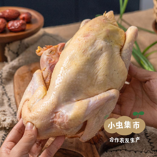 生态散养仔母鸡 整只/斩块（每周一、三、五发货） | 合作农友生产，产自湖北广水，生产者：湛小良 *【公平贸易农人定价】 商品图2