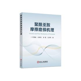 聚酰亚胺摩擦磨损机理/齐慧敏 余家欣 张嘎 王彦明著
