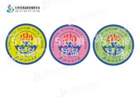 定制深圳市龙岗区龙城初级中学熨烫校徽布标姓名贴胸章缝制包邮51