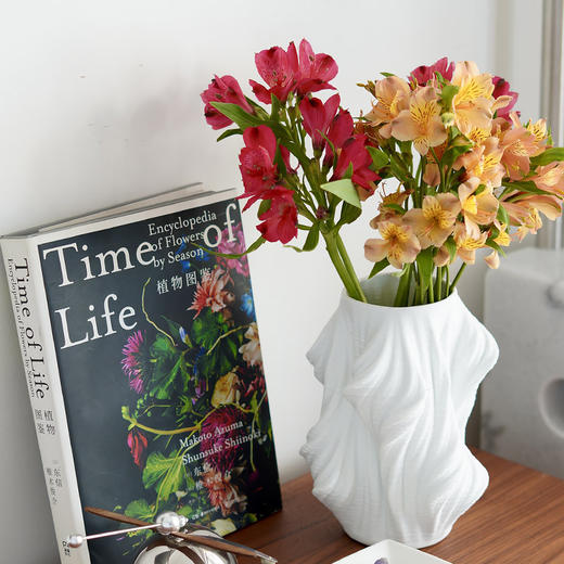 现代装饰陶瓷花瓶白色感摆件插花创意花盆入户玄关 商品图1