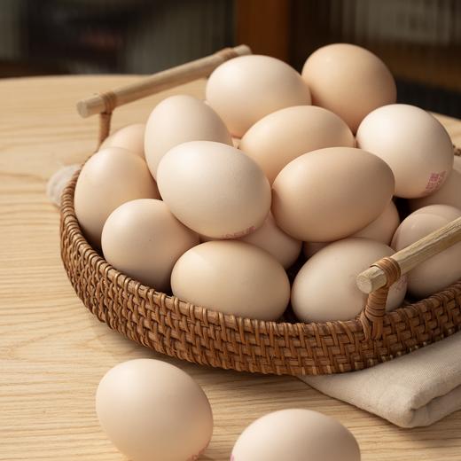 乘乘小巨蛋·富有机硒鸡蛋|7个“0”认证，远超国标！营养和口感都绝了 商品图4