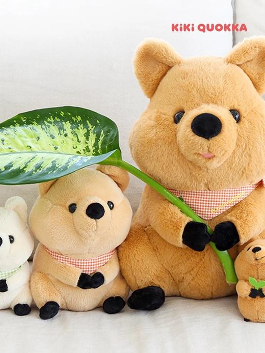 KIKIQUOKKA系列 商品图0