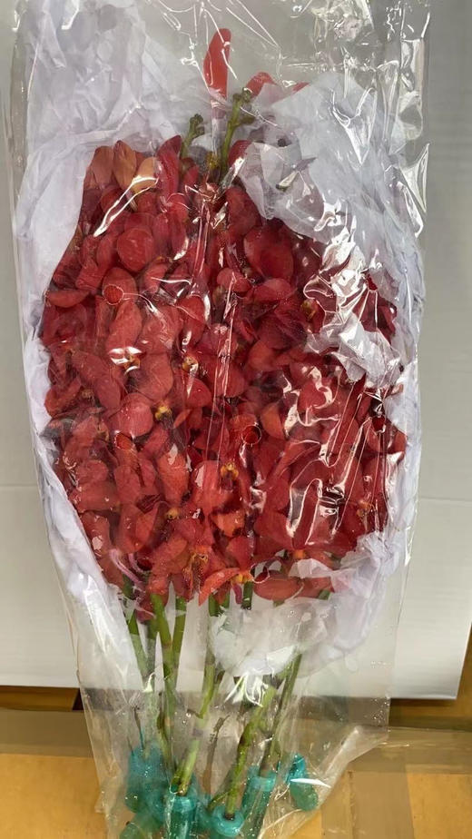 泰国-【千代兰】红 商品图2