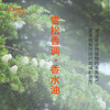 雪松香调香水油 植物精油香氛 适用护体香 护手油 润发丝 大篷车精油 商品缩略图1