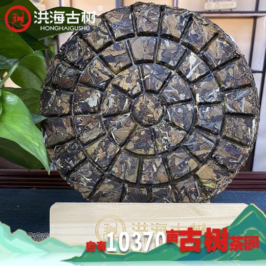 【8年老茶】洪海古树冰岛甜白茶 200g/饼 赠1泡试饮装 商品图5