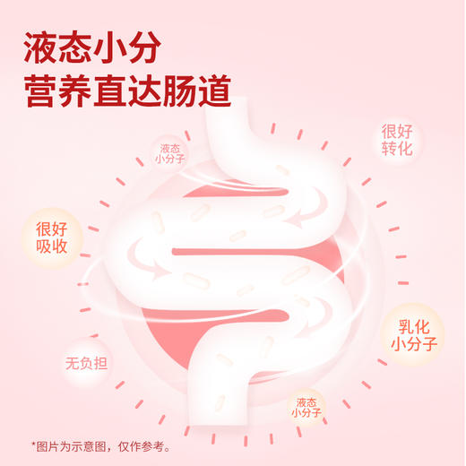 枸杞红参饮品原浆 商品图4