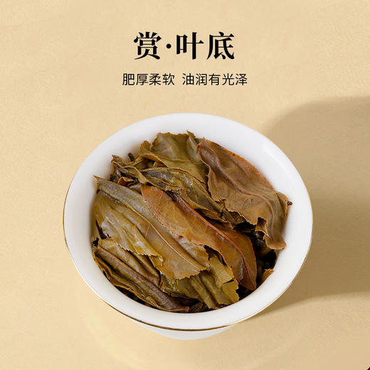 魏氏陈普洱老茶 陈年班章经典 2006年  357克/饼（礼盒可选） 商品图5