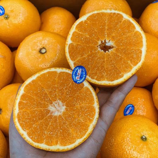 大果澳洲2pH澳柑 商品图0