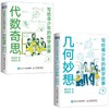 写给青少年的数学故事 代数奇思 (上)与几何妙想（下）套装2册  多SKU 商品缩略图0