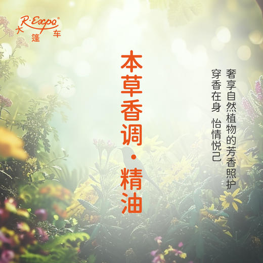 本草香调·精油 植物精油香氛 适用香水 护肤洗护产品 大篷车精油 商品图2