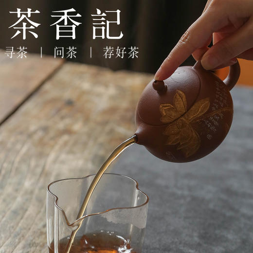 茶香记 乘风阁 红清水【西子】西施壶 茶壶 浮雕荷花 诗情画意 商品图4