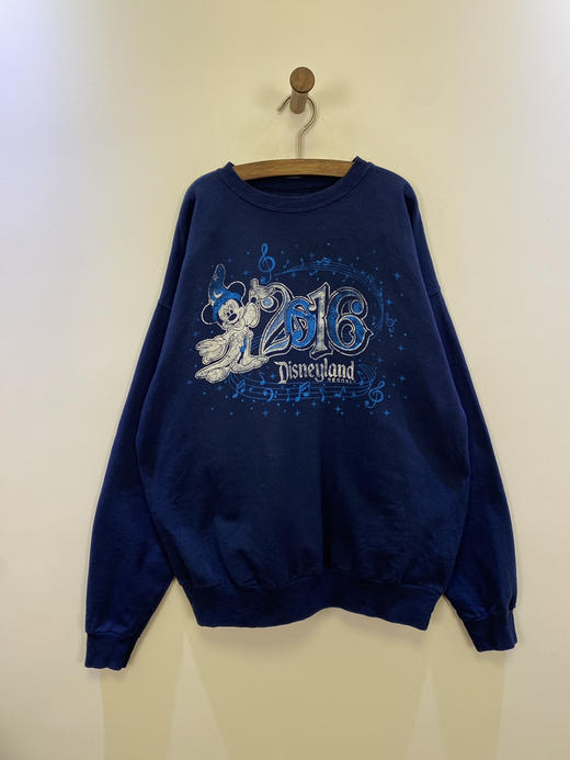 Disney 迪士尼 by Hanes 卫衣 _SLSS(L) 商品图1