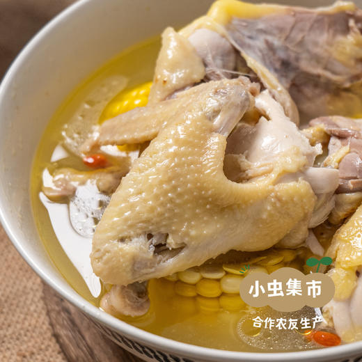 生态散养仔母鸡 整只/斩块（每周一、三、五发货） | 合作农友生产，产自湖北广水，生产者：湛小良 *【公平贸易农人定价】 商品图1