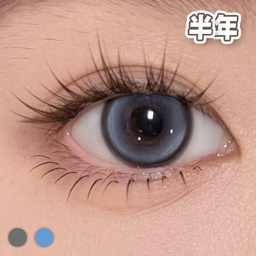 #Curly376 小象灰与海蓝色14.2mm【1片装】进口-舒适推荐 / 半年抛 商品图0