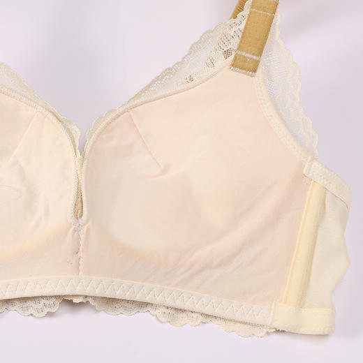 都市丽人内衣聚拢升杯常规文胸蕾丝中厚文胸3/4杯三排扣树脂胶圈YBT1C2 商品图6