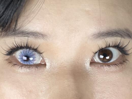 Paprikacon小辣椒日抛蜘蛛系列：魔械蓝蛛（日抛2片/盒） 商品图3