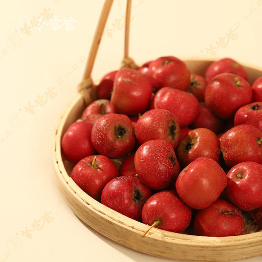 【山楂丸】健康零食|酸甜可口,拯救小饭渣 效期至26年4月 商品图6