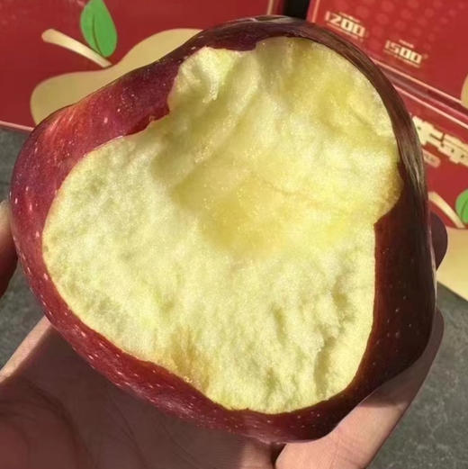 【黑钻花花牛苹果🍎】老人，小孩子的爱，稍微放放口感面粉，软糯香甜，越放会越好吃，非常适合/送长辈/宝宝辅食！ 商品图3